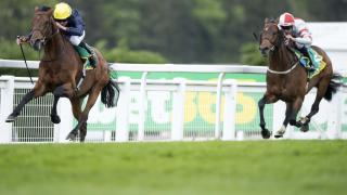 Crystal Ocean horse racing